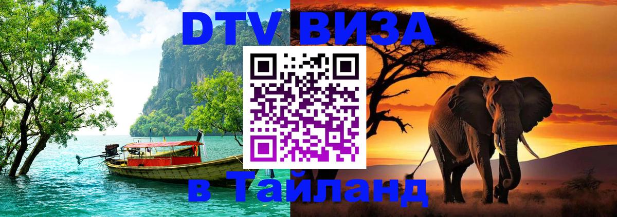 Сколько стоит DTV виза — актуальные цены, оформление даже без документов - 